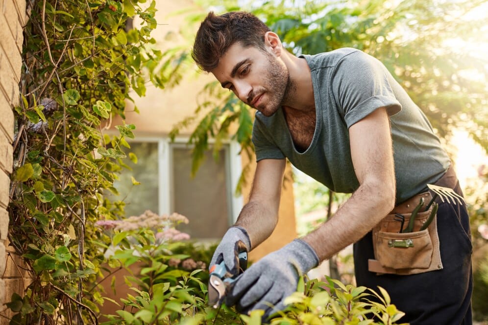Garden Maintenance