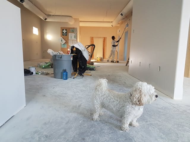 Move-in Move-out Cleaning