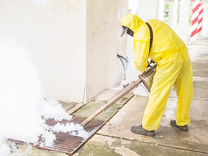 Termite Treatment