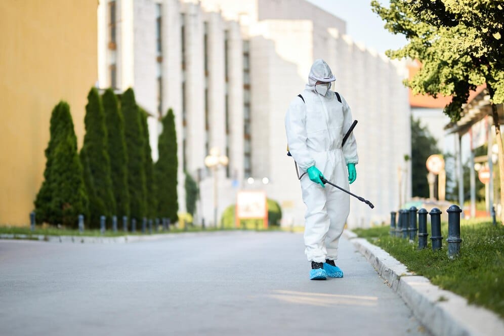 ant pest control